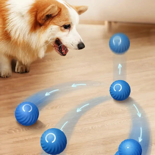 Brinquedo Interativo Para Pets Com Rotação Automática E Recarga Por USB Jogo Divertido Para Cães E Gatos
