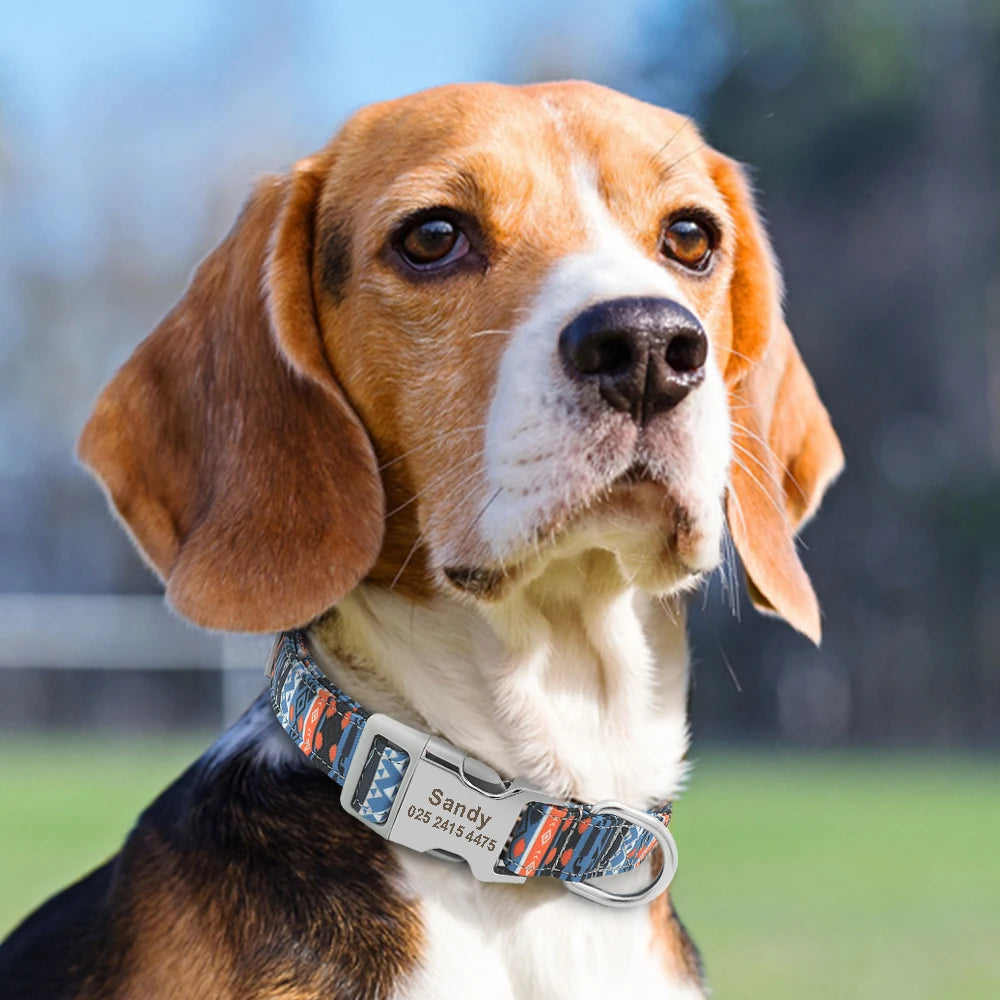 Coleira de cachorro de náilon ajustável, coleira personalizada para identificação de cães e gatos com fivela de nome gravado, anti-perda para cães pequenos, médios e grandes