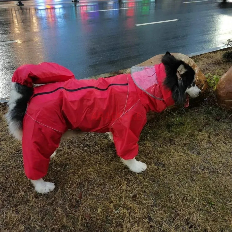 Impermeável Tudo Incluído para Cachorro Grande, Saco com capuz, Cauda de Chuva, Cão Médio a Grande, Samoieda, Labrador, Cão Grande