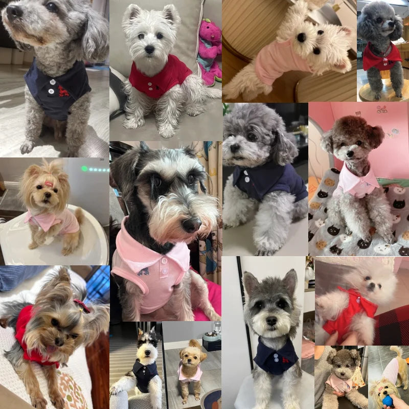 Novo cão de estimação camisa polo cão roupas frescas macio respirável yorkie chihuahua filhote de cachorro roupas colete para cães pequenos médios trajes