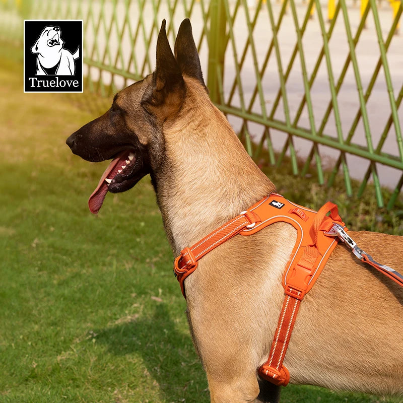 VERO AMOR Arnês para animais de estimação sem tração Nylon Reflexivo Arnês para cães Controle confortável ajustável Step-in Brilhante Truelove TLH5654