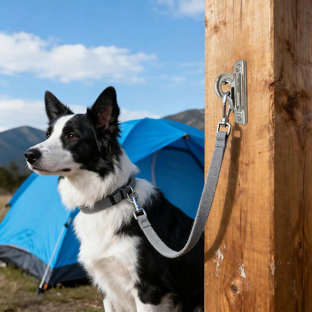 Suporte de Parede Reforçado em Aço Inoxidável para Coleira de Cachorro - Uso Interno e Externo Seguro - Gancho de Amarração para Animais de Estimação com Instalação Fácil