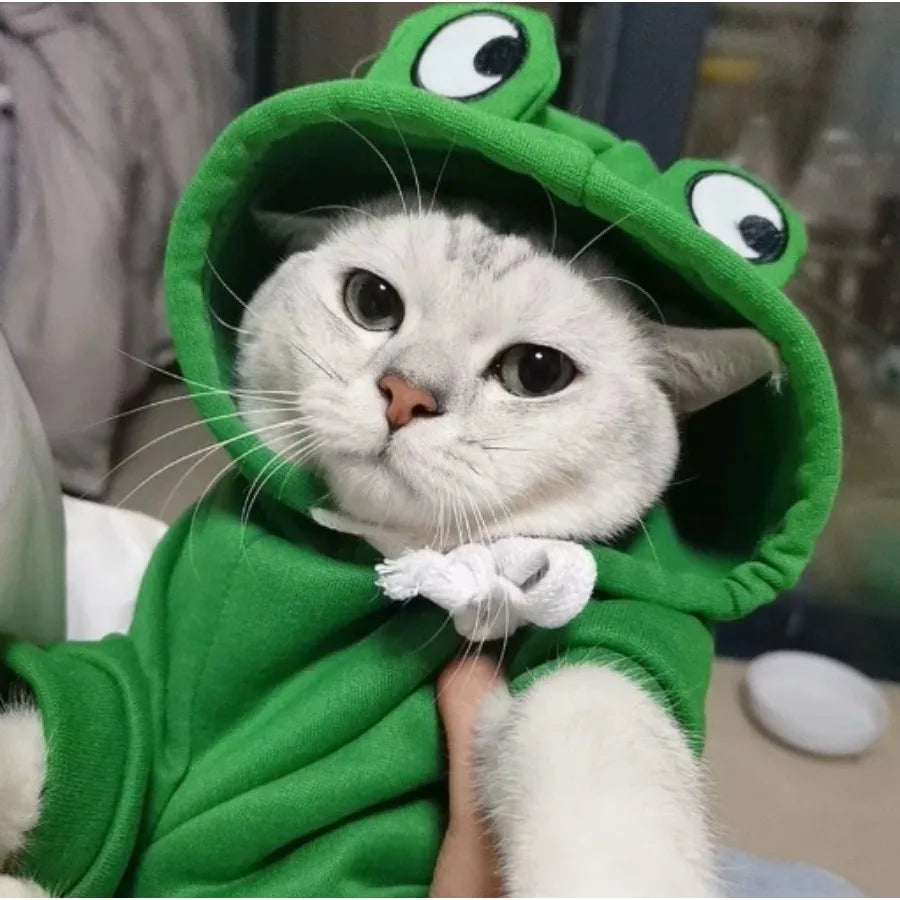 1 peça com capuz fofo para cachorro/gato com design de sapo – moletom quente de inverno para animais de estimação com veludo