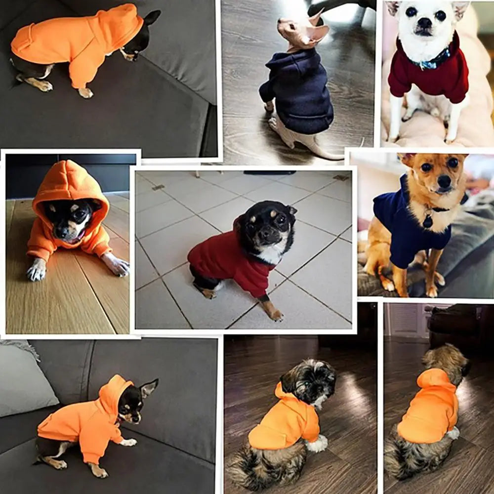 Jaqueta de Moletom com Capuz para Cães de Inverno, Casaco para Cães Pequenos e Médios, Roupa para Filhotes, Fantasia para Chihuahuas e Bulldogs, Roupa de Outono para Filhotes