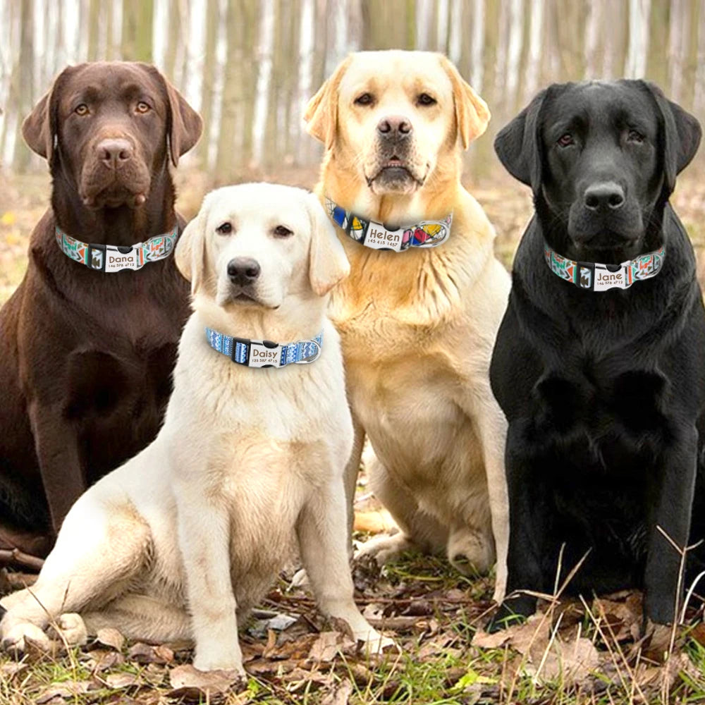 Coleira de cachorro de náilon ajustável, coleira personalizada para identificação de cães e gatos com fivela de nome gravado, anti-perda para cães pequenos, médios e grandes